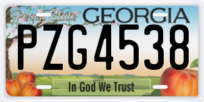 GA license plate PZG4538