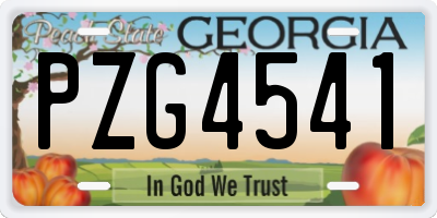 GA license plate PZG4541