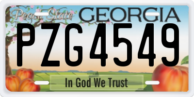 GA license plate PZG4549