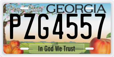 GA license plate PZG4557