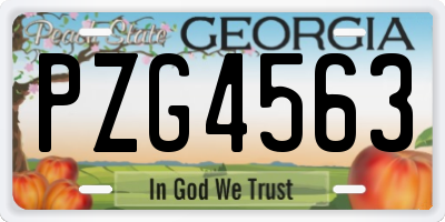 GA license plate PZG4563