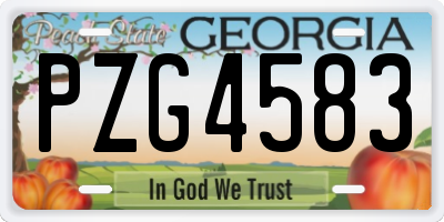GA license plate PZG4583