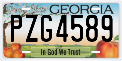 GA license plate PZG4589