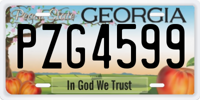 GA license plate PZG4599