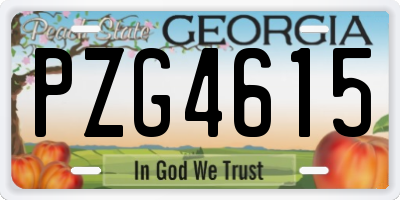 GA license plate PZG4615