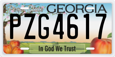 GA license plate PZG4617