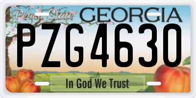 GA license plate PZG4630