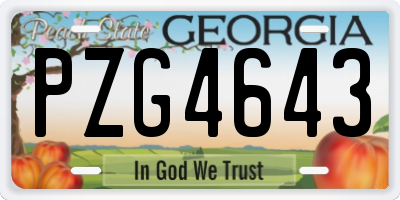 GA license plate PZG4643