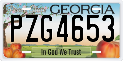 GA license plate PZG4653