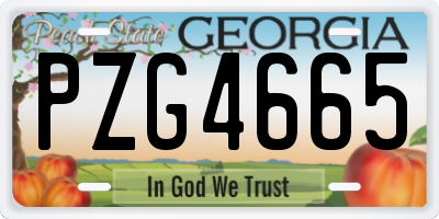 GA license plate PZG4665