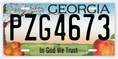 GA license plate PZG4673