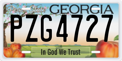 GA license plate PZG4727