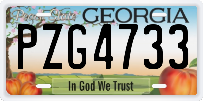 GA license plate PZG4733