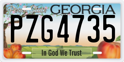 GA license plate PZG4735
