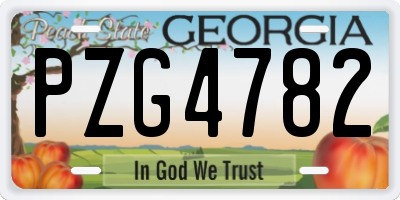 GA license plate PZG4782