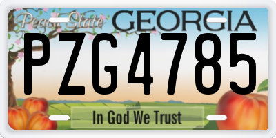 GA license plate PZG4785
