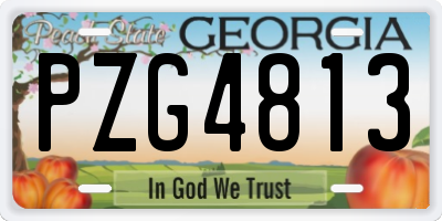 GA license plate PZG4813