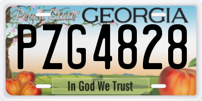 GA license plate PZG4828
