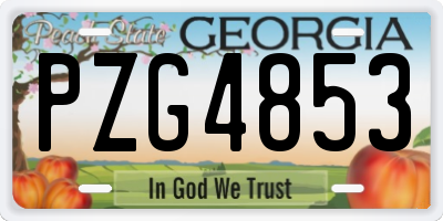GA license plate PZG4853