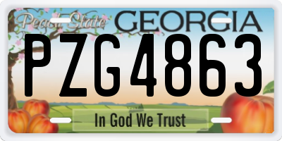GA license plate PZG4863