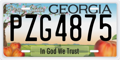 GA license plate PZG4875