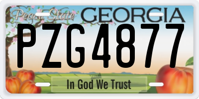 GA license plate PZG4877