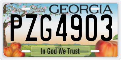 GA license plate PZG4903