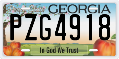 GA license plate PZG4918