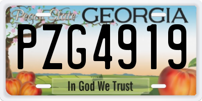 GA license plate PZG4919