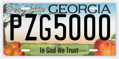 GA license plate PZG5000