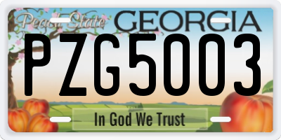 GA license plate PZG5003