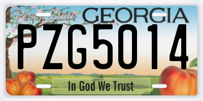 GA license plate PZG5014