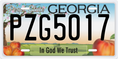 GA license plate PZG5017