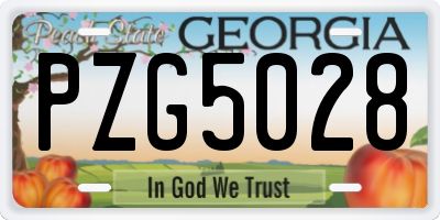 GA license plate PZG5028