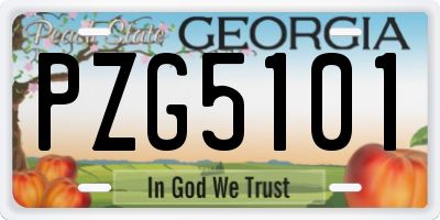 GA license plate PZG5101