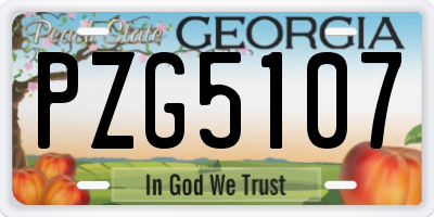 GA license plate PZG5107