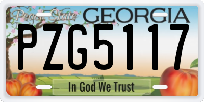 GA license plate PZG5117
