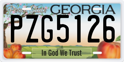 GA license plate PZG5126