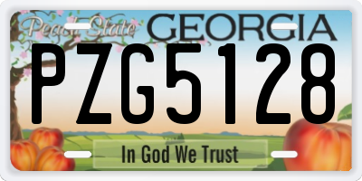 GA license plate PZG5128