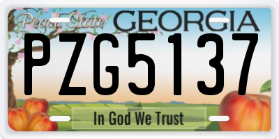 GA license plate PZG5137