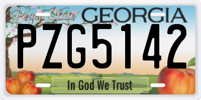 GA license plate PZG5142