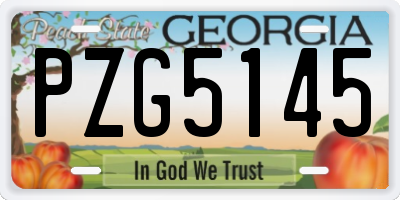 GA license plate PZG5145