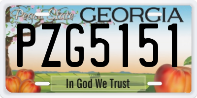 GA license plate PZG5151
