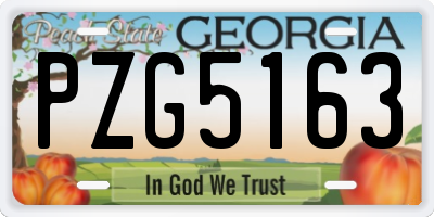 GA license plate PZG5163
