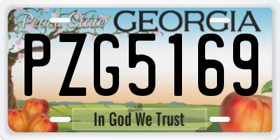 GA license plate PZG5169