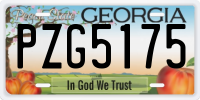 GA license plate PZG5175