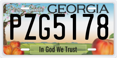GA license plate PZG5178