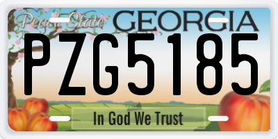 GA license plate PZG5185