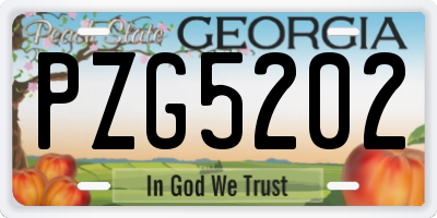 GA license plate PZG5202
