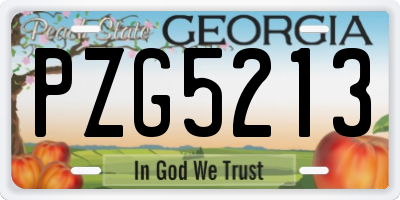 GA license plate PZG5213